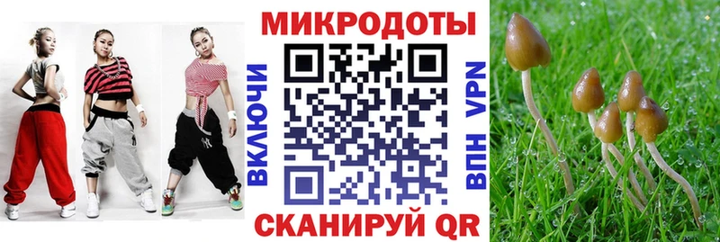 Галлюциногенные грибы Magic Shrooms где продают наркотики Белоозёрский